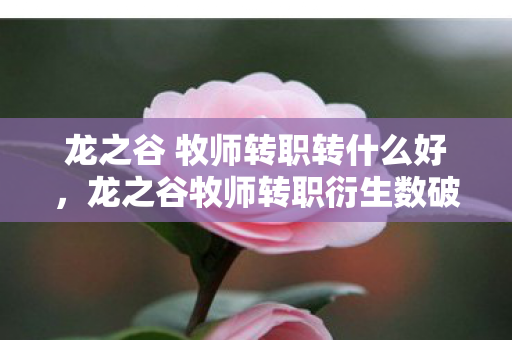 龙之谷 牧师转职转什么好，龙之谷牧师转职衍生数破圈！当圣光撞上泡面碗的意想不到