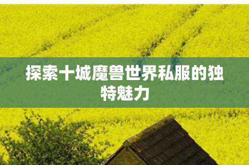 探索十城魔兽世界私服的独特魅力图片