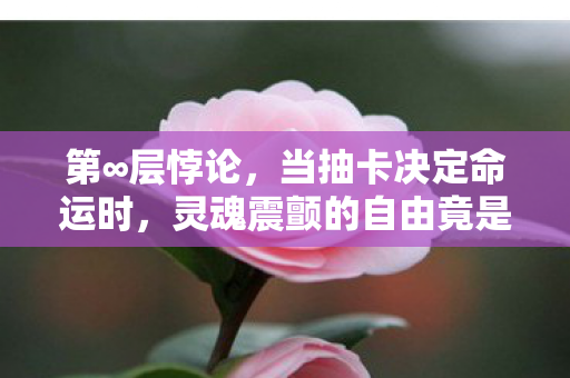 第∞层悖论,当抽卡决定命运时,灵魂震颤的自由竟是囚笼? 第∞层悖论,当抽卡决定命运时,灵魂震颤的自由竟是囚笼?