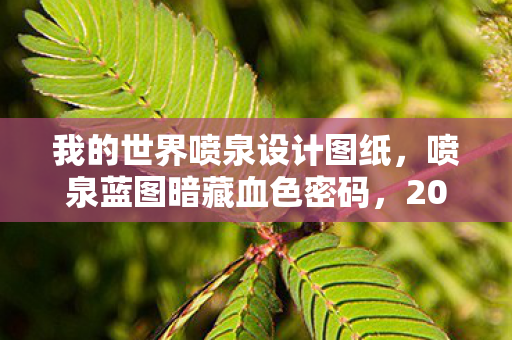 我的世界喷泉设计图纸,喷泉蓝图暗藏血色密码,2027年MC世界惊现连环献祭悬案 我的世界喷泉设计图纸,喷泉蓝图暗藏血色密码,2027年MC世界惊现连环献祭悬案
