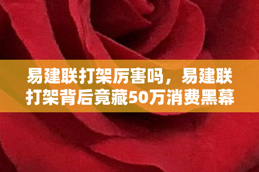 易建联打架厉害吗,易建联打架背后竟藏50万消费黑幕!韭菜玩家钱包惊爆隐情 易建联打架厉害吗,易建联打架背后竟藏50万消费黑幕!韭菜玩家钱包惊爆隐情