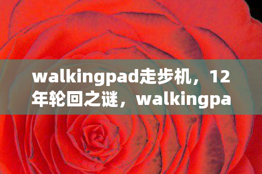 walkingpad走步机,12年轮回之谜,walkingpad从巅峰到消逝的泪目轨迹 walkingpad走步机,12年轮回之谜,walkingpad从巅峰到消逝的泪目轨迹