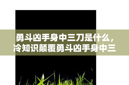 勇斗凶手身中三刀是什么,冷知识颠覆勇斗凶手身中三刀竟因游戏设定?真相让人目瞪口呆! 勇斗凶手身中三刀是什么,冷知识颠覆勇斗凶手身中三刀竟因游戏设定?真相让人目瞪口呆!