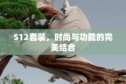 时尚与功能的完美结合图片