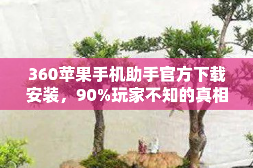 360苹果手机助手官方下载安装,90%玩家不知的真相!下载后竟被这神秘生态掏空了灵魂 360苹果手机助手官方下载安装,90%玩家不知的真相!下载后竟被这神秘生态掏空了灵魂