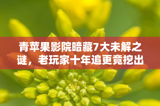 青苹果影院暗藏7大未解之谜,老玩家十年追更竟挖出惊天反转! 青苹果影院暗藏7大未解之谜,老玩家十年追更竟挖出惊天反转!