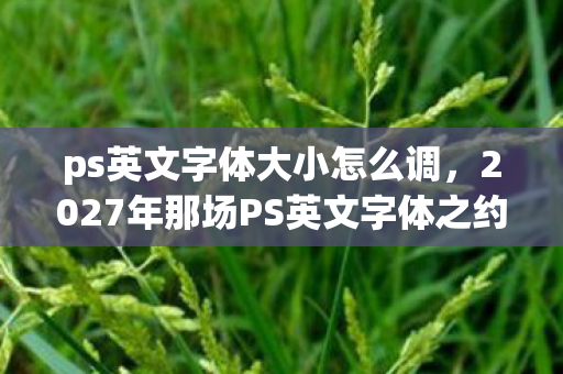 ps英文字体大小怎么调,2027年那场PS英文字体之约,伏笔藏了十年,如今想起鼻子一酸 ps英文字体大小怎么调,2027年那场PS英文字体之约,伏笔藏了十年,如今想起鼻子一酸