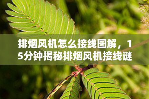 排烟风机怎么接线图解,15分钟揭秘排烟风机接线谜题,八年老玩家泪目,连游戏都断线了 排烟风机怎么接线图解,15分钟揭秘排烟风机接线谜题,八年老玩家泪目,连游戏都断线了