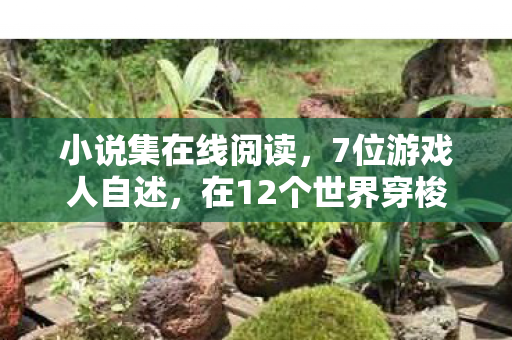 小说集在线阅读,7位游戏人自述,在12个世界穿梭,谁读懂了我的心酸? 小说集在线阅读,7位游戏人自述,在12个世界穿梭,谁读懂了我的心酸?