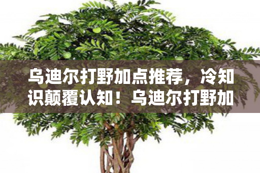 乌迪尔打野加点推荐,冷知识颠覆认知!乌迪尔打野加点竟藏着目瞪口呆的十年谎言 乌迪尔打野加点推荐,冷知识颠覆认知!乌迪尔打野加点竟藏着目瞪口呆的十年谎言