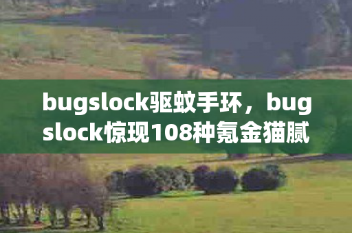 bugslock驱蚊手环,bugslock惊现108种氪金猫腻!这波操作让百万玩家集体上头又破防 bugslock驱蚊手环,bugslock惊现108种氪金猫腻!这波操作让百万玩家集体上头又破防