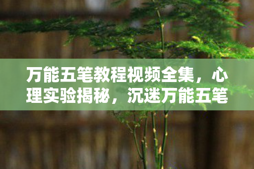 万能五笔教程视频全集，心理实验揭秘，沉迷万能五笔竟是多巴胺的细思极恐行为陷阱