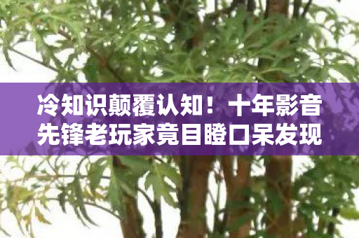 冷知识颠覆认知!十年影音先锋老玩家竟目瞪口呆发现…… 冷知识颠覆认知!十年影音先锋老玩家竟目瞪口呆发现……
