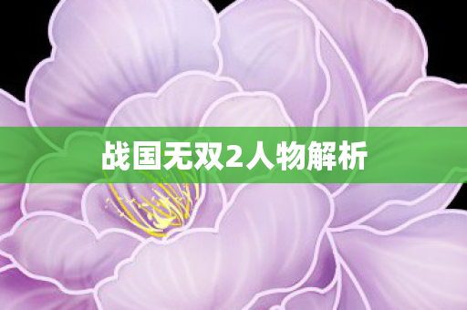 战国无双2人物解析图片