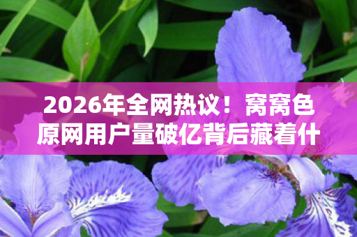 2026年全网热议!窝窝色原网用户量破亿背后藏着什么秘密? 2026年全网热议!窝窝色原网用户量破亿背后藏着什么秘密?