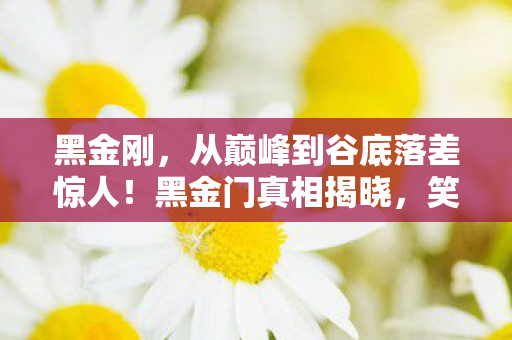 黑金刚,从巅峰到谷底落差惊人!黑金门真相揭晓,笑着笑着就哭了 黑金刚,从巅峰到谷底落差惊人!黑金门真相揭晓,笑着笑着就哭了