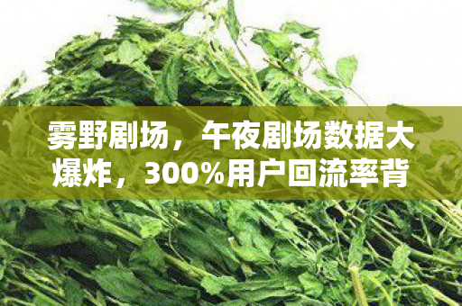 雾野剧场,午夜剧场数据大爆炸,300%用户回流率背后,游戏圈久违的情感经济正在颠覆认知 雾野剧场,午夜剧场数据大爆炸,300%用户回流率背后,游戏圈久违的情感经济正在颠覆认知