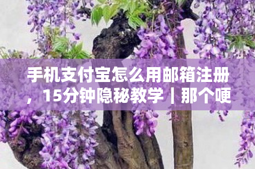 手机支付宝怎么用邮箱注册,15分钟隐秘教学|那个哽咽着学支付宝的深夜,我弄丢了整个青春 手机支付宝怎么用邮箱注册,15分钟隐秘教学|那个哽咽着学支付宝的深夜,我弄丢了整个青春