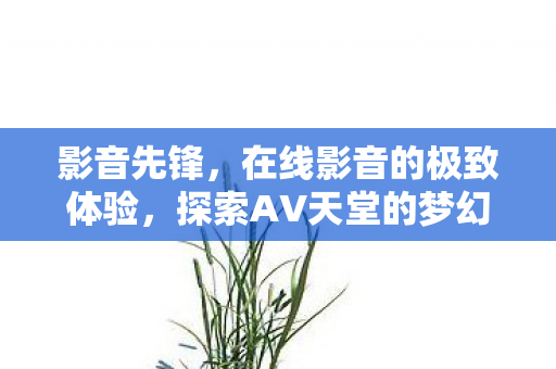 探索AV天堂的梦幻之旅图片