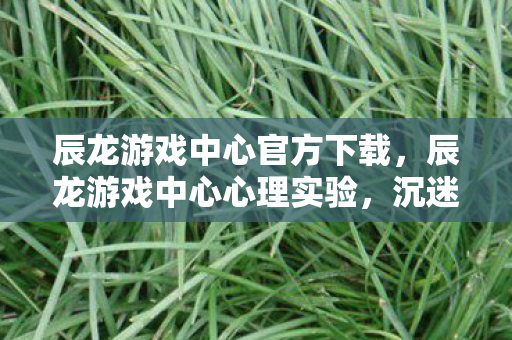 辰龙游戏中心官方下载，辰龙游戏中心心理实验，沉迷背后的细思极恐自我麻醉真相