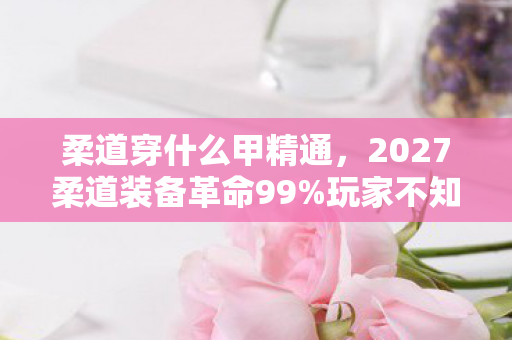 柔道穿什么甲精通,2027柔道装备革命99%玩家不知道的护甲黑科技!实战体验颠覆认知 柔道穿什么甲精通,2027柔道装备革命99%玩家不知道的护甲黑科技!实战体验颠覆认知