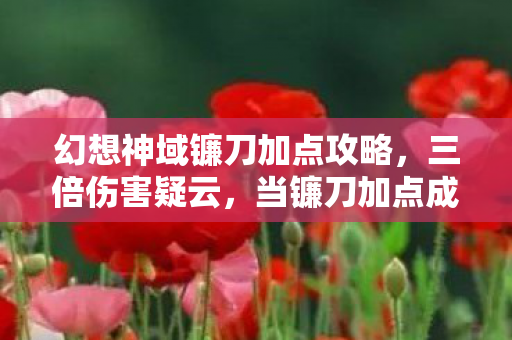 幻想神域镰刀加点攻略,三倍伤害疑云,当镰刀加点成为资本操控的流量密码,玩家心寒几何? 幻想神域镰刀加点攻略,三倍伤害疑云,当镰刀加点成为资本操控的流量密码,玩家心寒几何?