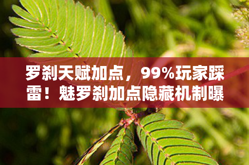 罗刹天赋加点,99%玩家踩雷!魅罗刹加点隐藏机制曝光,颠覆你的战斗认知! 罗刹天赋加点,99%玩家踩雷!魅罗刹加点隐藏机制曝光,颠覆你的战斗认知!