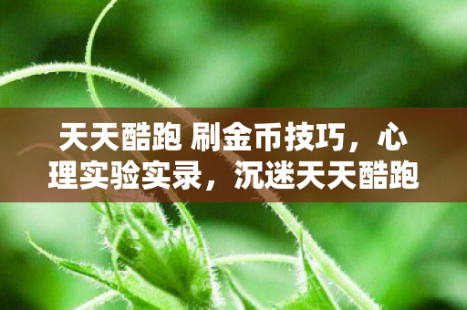 天天酷跑 刷金币技巧,心理实验实录,沉迷天天酷跑刷金币的细思极恐自我异化 天天酷跑 刷金币技巧,心理实验实录,沉迷天天酷跑刷金币的细思极恐自我异化