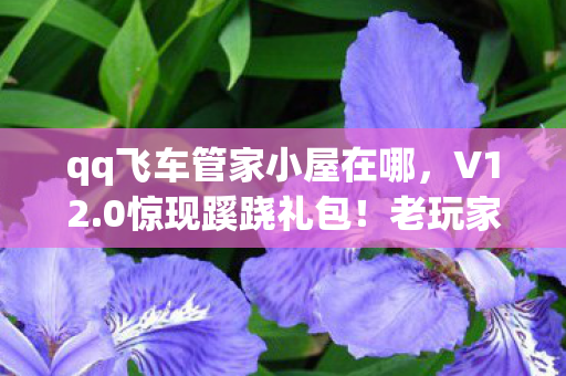 qq飞车管家小屋在哪,V12.0惊现蹊跷礼包!老玩家直呼,这波情怀杀我顶不住! qq飞车管家小屋在哪,V12.0惊现蹊跷礼包!老玩家直呼,这波情怀杀我顶不住!