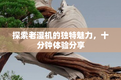 探索老湿机的独特魅力图片