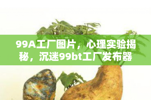 99A工厂图片,心理实验揭秘,沉迷99bt工厂发布器的细思极恐自我麻醉之旅 99A工厂图片,心理实验揭秘,沉迷99bt工厂发布器的细思极恐自我麻醉之旅
