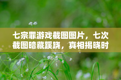 七宗罪游戏截图图片,七次截图暗藏蹊跷,真相揭晓时后背发凉! 七宗罪游戏截图图片,七次截图暗藏蹊跷,真相揭晓时后背发凉!