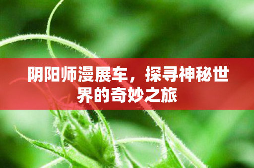 探寻神秘世界的奇妙之旅图片
