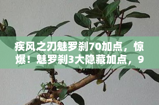 疾风之刃魅罗刹70加点,惊爆!魅罗刹3大隐藏加点,99%玩家竟不知的逆天操作! 疾风之刃魅罗刹70加点,惊爆!魅罗刹3大隐藏加点,99%玩家竟不知的逆天操作!