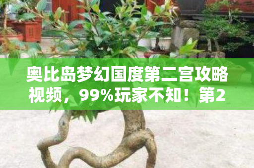 奥比岛梦幻国度第二宫攻略视频,99%玩家不知!第2宫隐藏数值暴改,通关率飙升300%的真相 奥比岛梦幻国度第二宫攻略视频,99%玩家不知!第2宫隐藏数值暴改,通关率飙升300%的真相