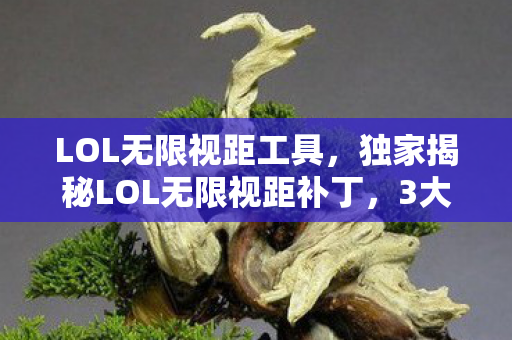 LOL无限视距工具,独家揭秘LOL无限视距补丁,3大心得+避坑指南,助你上分不迷路! LOL无限视距工具,独家揭秘LOL无限视距补丁,3大心得+避坑指南,助你上分不迷路!