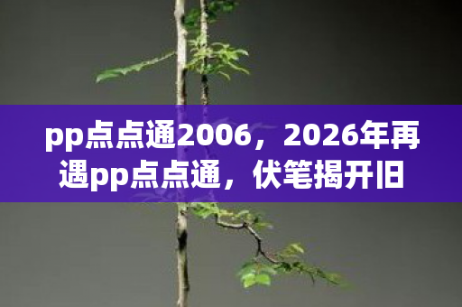 pp点点通2006,2026年再遇pp点点通,伏笔揭开旧情殇,鼻子一酸泪满眶 pp点点通2006,2026年再遇pp点点通,伏笔揭开旧情殇,鼻子一酸泪满眶