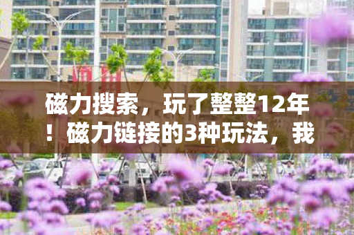 磁力搜索,玩了整整12年!磁力链接的3种玩法,我该继续坚守还是彻底告别? 磁力搜索,玩了整整12年!磁力链接的3种玩法,我该继续坚守还是彻底告别?
