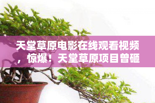 天堂草原电影在线观看视频,惊爆!天堂草原项目曾砸500万,背后隐情让人吓一跳! 天堂草原电影在线观看视频,惊爆!天堂草原项目曾砸500万,背后隐情让人吓一跳!