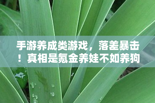 手游养成类游戏,落差暴击!真相是氪金养娃不如养狗,笑着笑着就哭了 手游养成类游戏,落差暴击!真相是氪金养娃不如养狗,笑着笑着就哭了