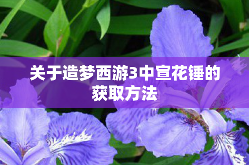 关于造梦西游3中宣花锤的获取方法图片