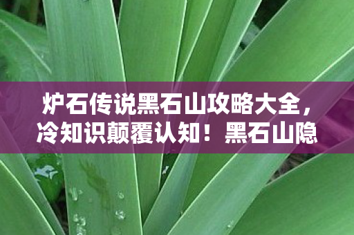 炉石传说黑石山攻略大全,冷知识颠覆认知!黑石山隐藏机制竟让我目瞪口呆十年 炉石传说黑石山攻略大全,冷知识颠覆认知!黑石山隐藏机制竟让我目瞪口呆十年