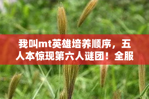 我叫mt英雄培养顺序，五人本惊现第六人谜团！全服破防，这操作谁顶得住？
