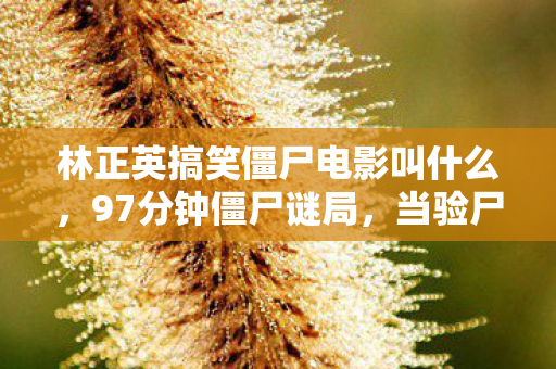 林正英搞笑僵尸电影叫什么,97分钟僵尸谜局,当验尸官发现第13具尸体时,监控里传来2026年的哭声 林正英搞笑僵尸电影叫什么,97分钟僵尸谜局,当验尸官发现第13具尸体时,监控里传来2026年的哭声