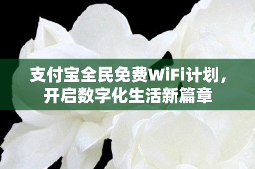 支付宝全民免费WiFi计划图片