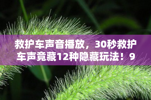 救护车声音播放,30秒救护车声竟藏12种隐藏玩法!99%人不知的声波操控术 救护车声音播放,30秒救护车声竟藏12种隐藏玩法!99%人不知的声波操控术