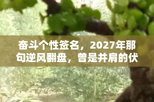 奋斗个性签名，2027年那句逆风翻盘，曾是并肩的伏笔，如今读来鼻子一酸