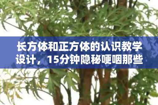 长方体和正方体的认识教学设计,15分钟隐秘哽咽那些年,我们在方块里藏过的青春 长方体和正方体的认识教学设计,15分钟隐秘哽咽那些年,我们在方块里藏过的青春