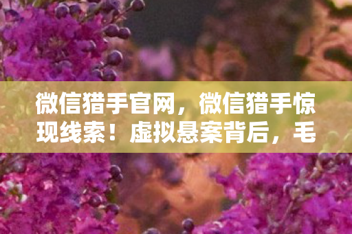 微信猎手官网,微信猎手惊现线索!虚拟悬案背后,毛骨悚然自戮真相 微信猎手官网,微信猎手惊现线索!虚拟悬案背后,毛骨悚然自戮真相