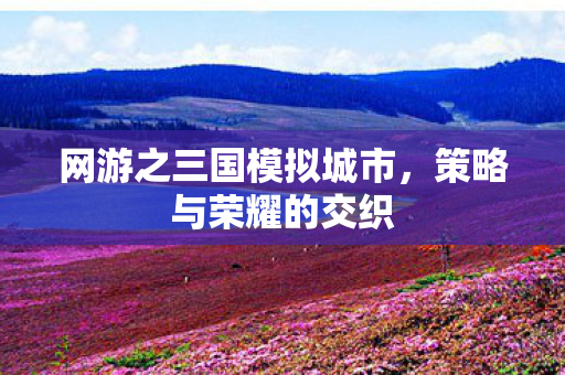 网游之三国模拟城市图片